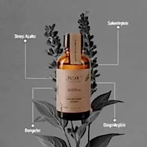 Upasanti 3 Subat Post