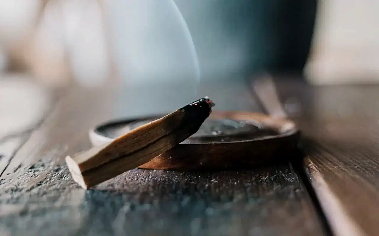 Palo Santo Nedir