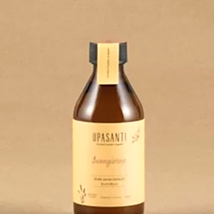 Buongiorno Oda Kokusu Esansı